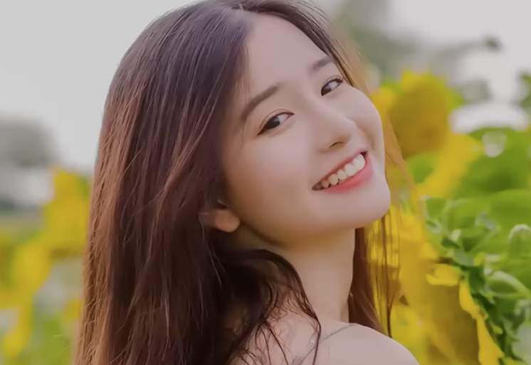 lĩnh vực hoạt động